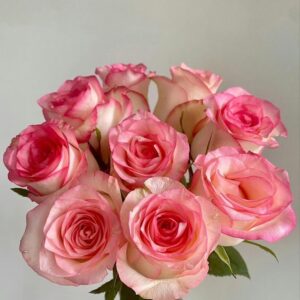 Pink Rose Bunch