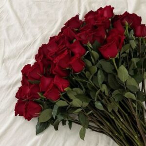Red Roses